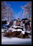 getphpbbimage.php?id=61268