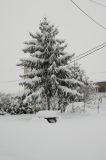 getphpbbimage.php?id=63162