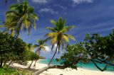 getphpbbimage.php?id=64704