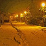 getphpbbimage.php?id=65501