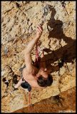 getphpbbimage.php?id=65613
