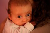 getphpbbimage.php?id=66300