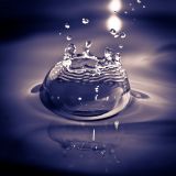 getphpbbimage.php?id=66614