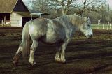 getphpbbimage.php?id=67834