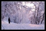 getphpbbimage.php?id=6862
