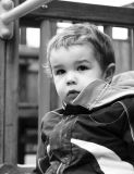 getphpbbimage.php?id=69849