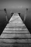 getphpbbimage.php?id=71318