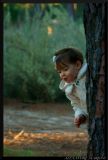 getphpbbimage.php?id=71785