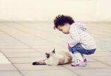 getphpbbimage.php?id=72119