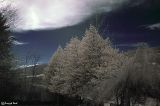 getphpbbimage.php?id=72300