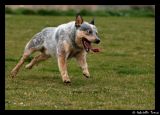 getphpbbimage.php?id=74058