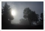 getphpbbimage.php?id=77133