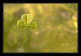 getphpbbimage.php?id=79145