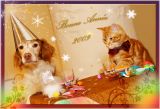 getphpbbimage.php?id=7957