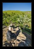 getphpbbimage.php?id=80713