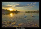 getphpbbimage.php?id=81087