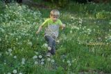 getphpbbimage.php?id=81942