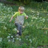 getphpbbimage.php?id=81965