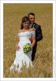 getphpbbimage.php?id=83429