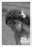getphpbbimage.php?id=83431