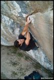 getphpbbimage.php?id=85921