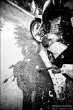 getphpbbimage.php?id=91025