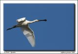 getphpbbimage.php?id=9150
