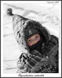 getphpbbimage.php?id=9519