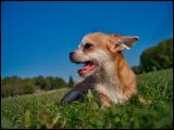 getphpbbimage.php?id=95202