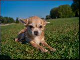 getphpbbimage.php?id=95204