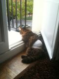 getphpbbimage.php?id=95486