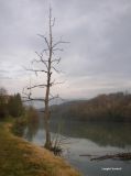 getphpbbimage.php?id=9691